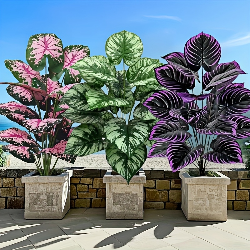 Fiddle Leaf Fig - 3 قطعة 60 سنتيمتر مجموعة نباتات