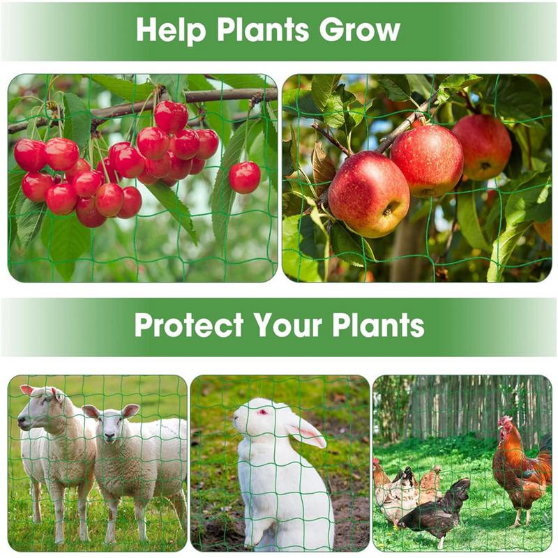 تعريشة المعاوضة لتسلق النباتات - مراجعة Plant Support Stake وسعره