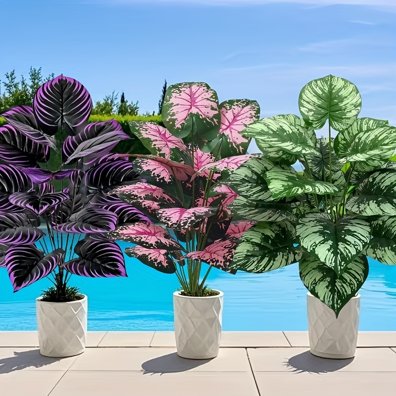 3 قطعة 60 سنتيمتر مجموعة نباتا - مراجعة Fiddle Leaf Fig وسعره