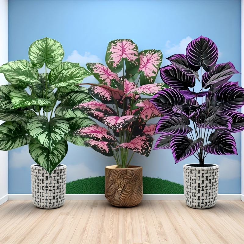 3 قطعة 60 سنتيمتر مجموعة نباتا - مراجعة Fiddle Leaf Fig وسعره