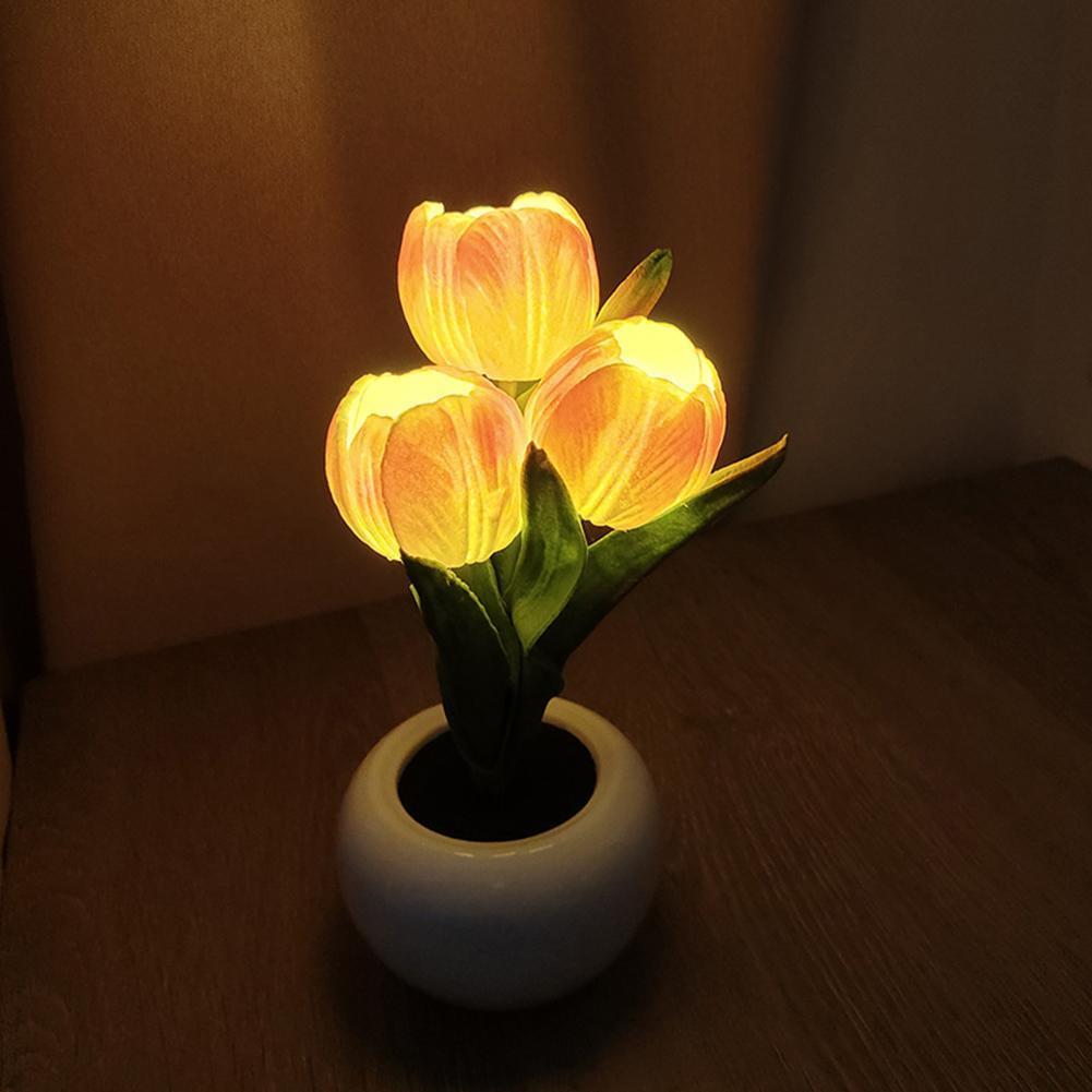مصباح طاولة على شكل نبتة في وع - مراجعة Plant Pot وسعره