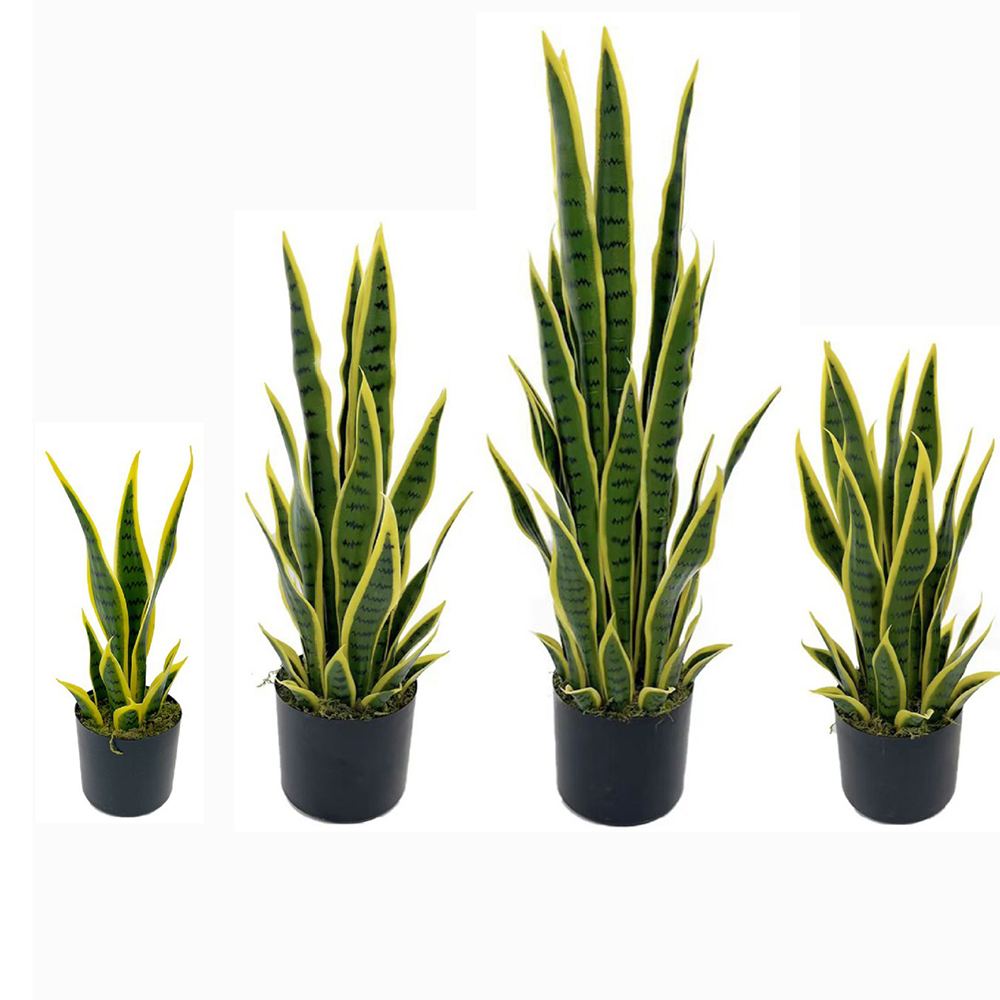 نبات السانسيفيريا الاصطناعي بط - مراجعة Snake Plant وسعره