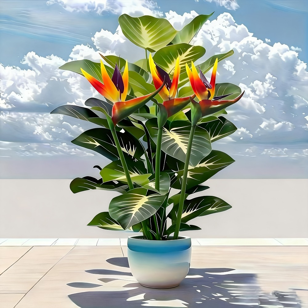 نباتات طائر الجنة والبوثوس الا - مراجعة Fiddle Leaf Fig وسعره