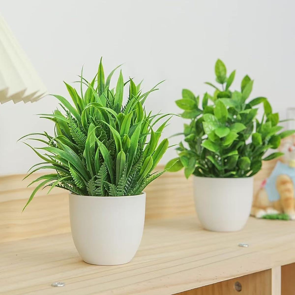 مجموعة من 4 نباتات اصطناعية صغ - مراجعة Snake Plant وسعره