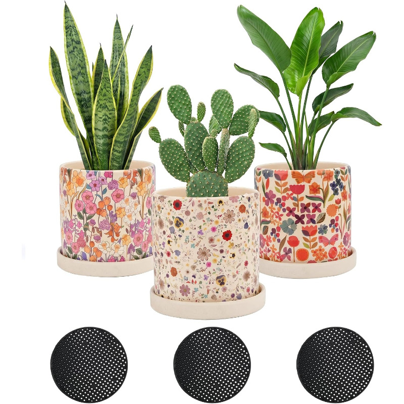 3 قطع من أواني الزراعة الخزفية - مراجعة Snake Plant Ceramic وسعره
