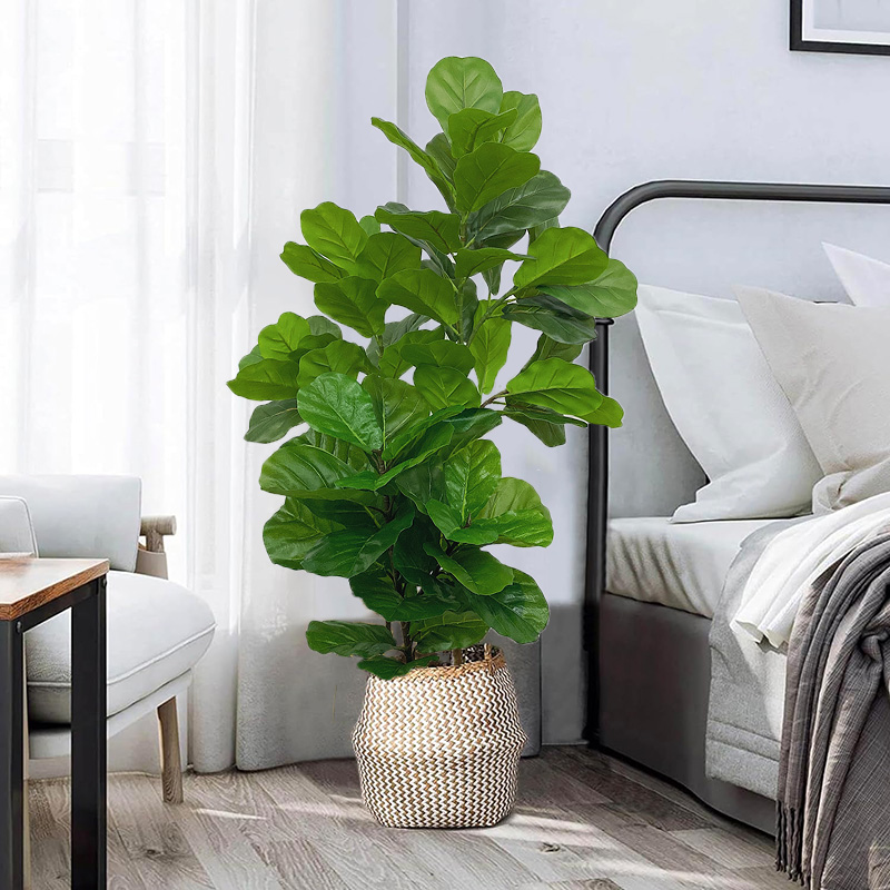 23-41in شجرة اللبخ الاصطناعي ا - مراجعة Fiddle Leaf Fig وسعره