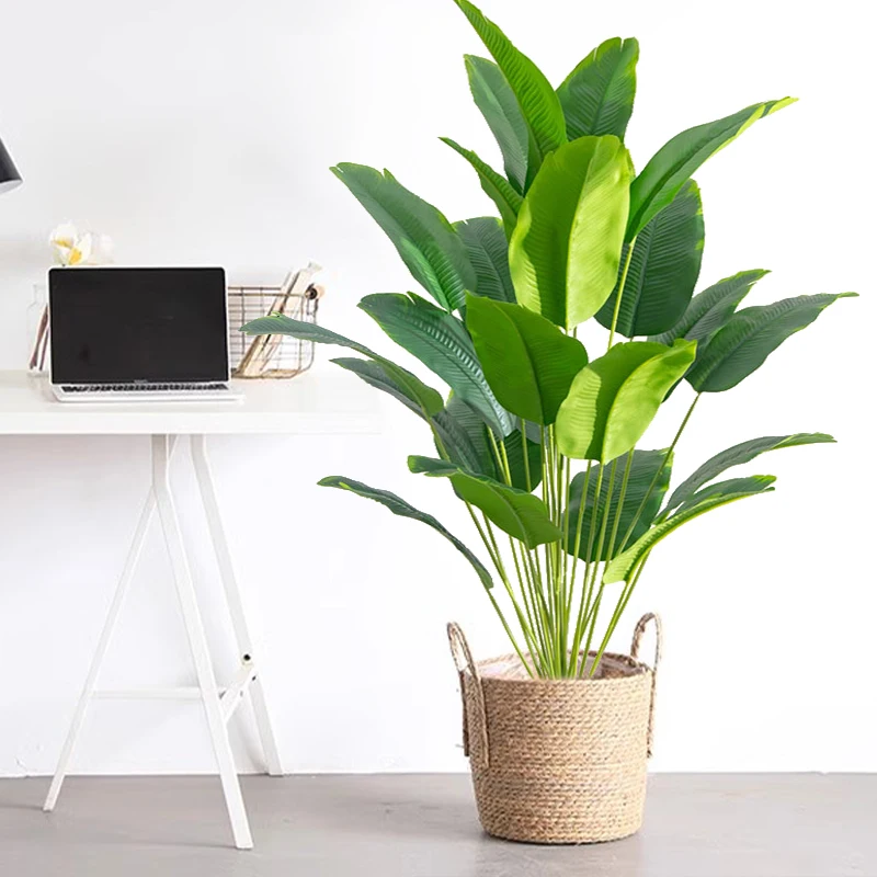 نبات اصطناعي واحد، شجرة نخيل ا - مراجعة Snake Plant وسعره